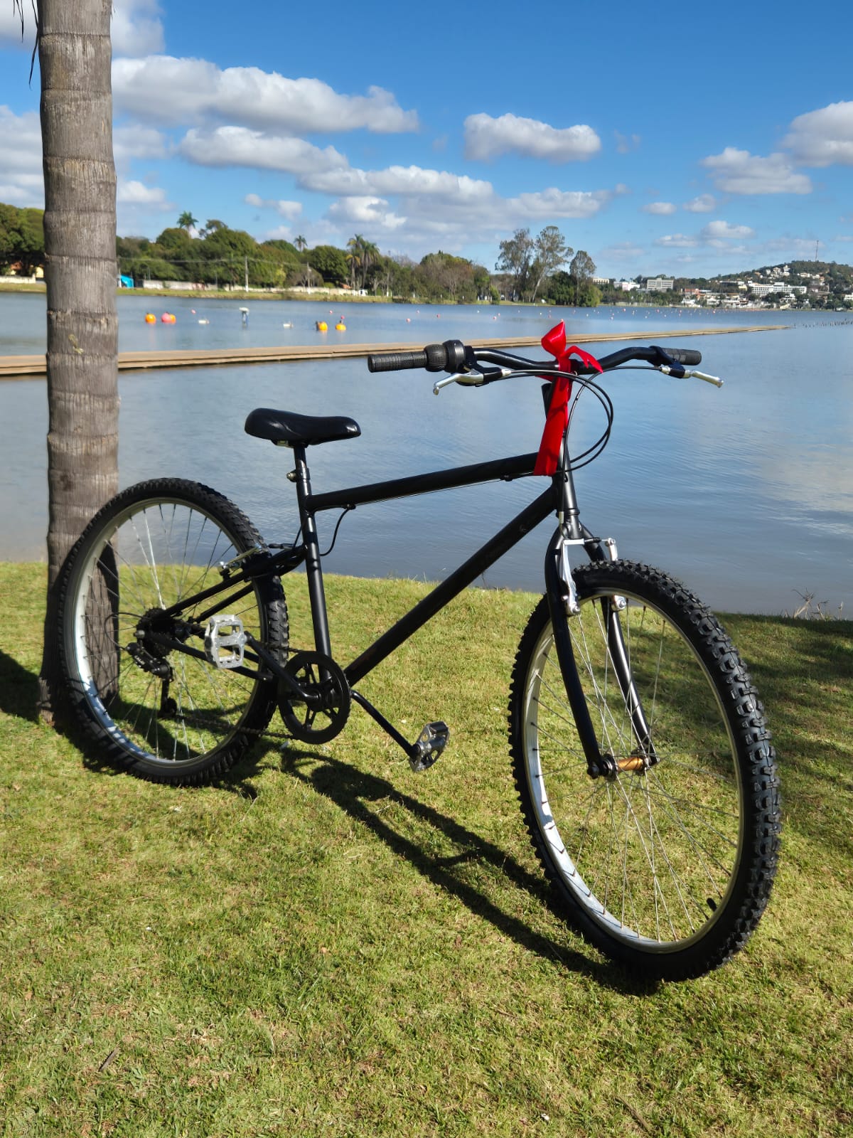Bicicleta aro 26", 7 marchas