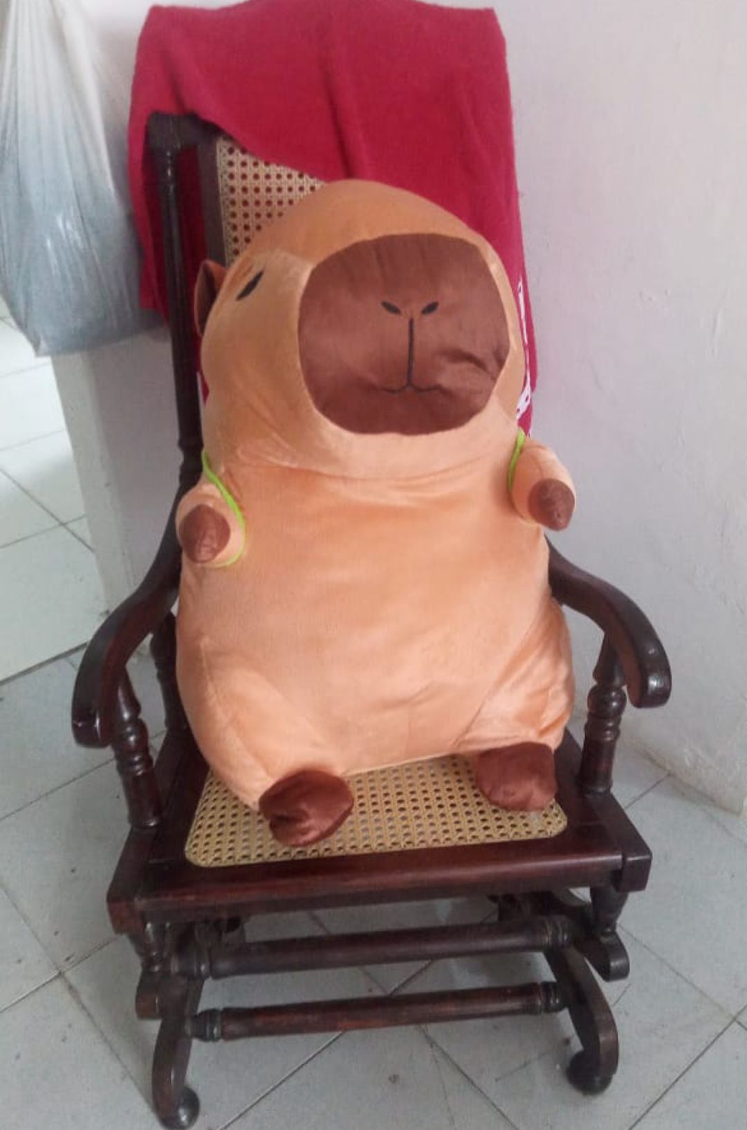 CAPIVARA GRANDE