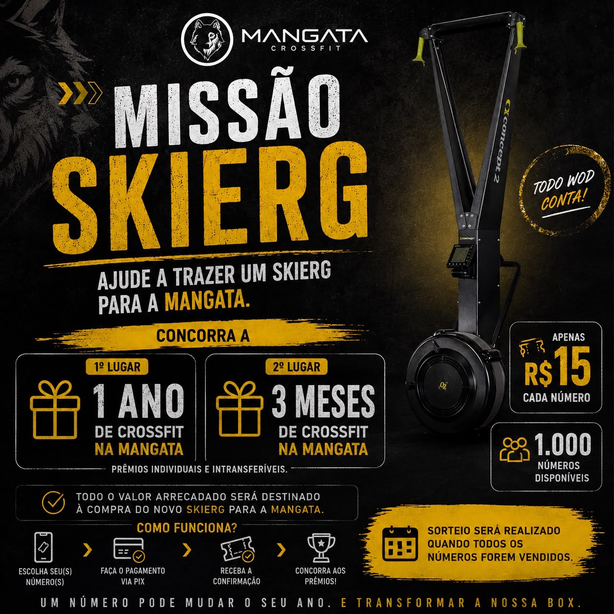 Missão SkiErg - Mangata CrossFit