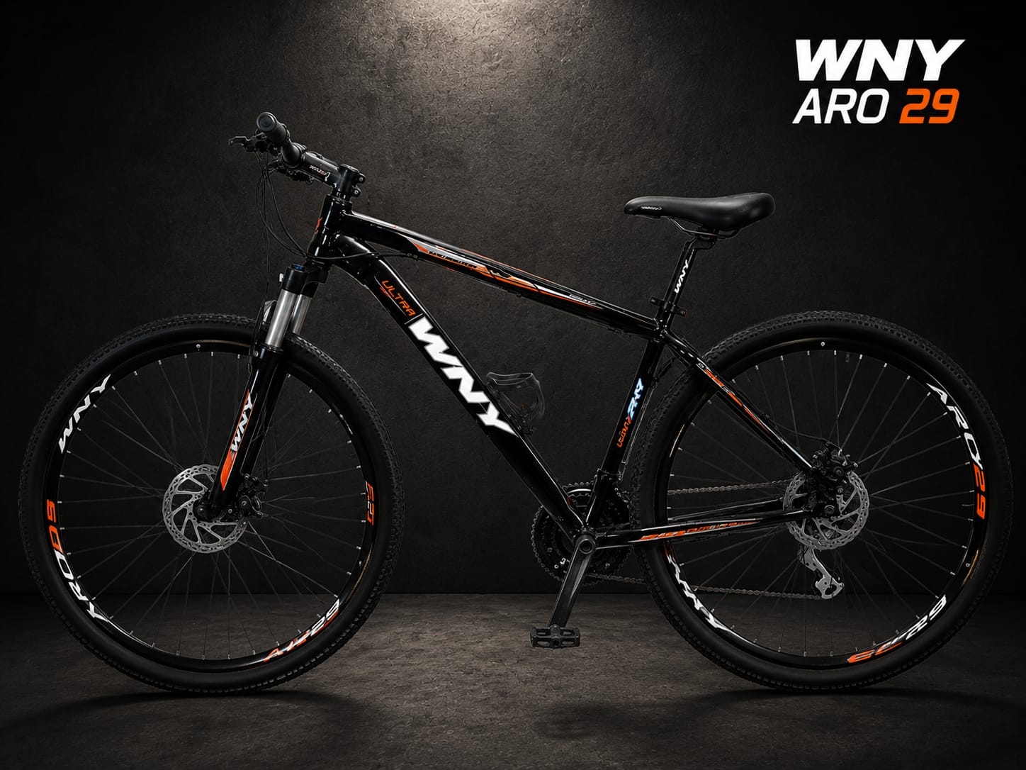 Bicicleta WNY Aro 29
